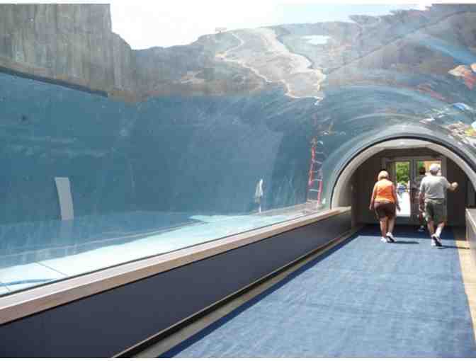 Lions, Tigers, Bears and More! . . .. Pittsburgh Zoo & PPG Aquarium