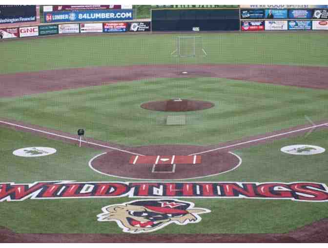 Baseball Outing II for Four with the Washington Wild Things!
