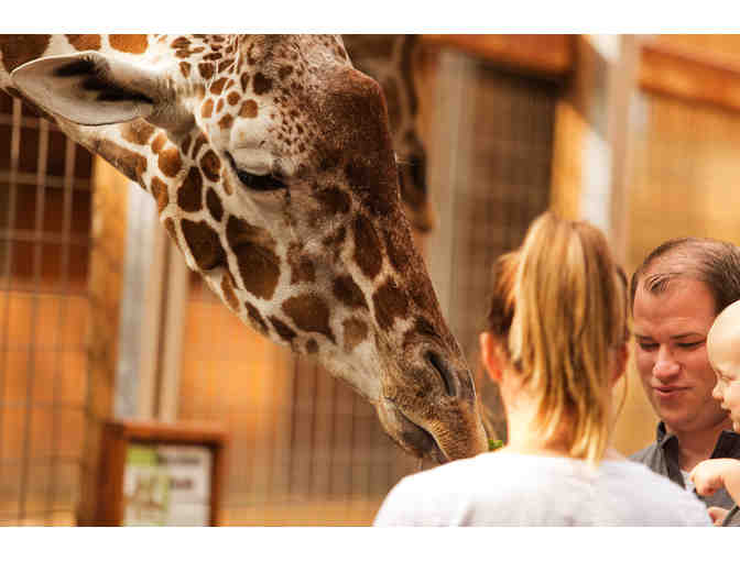 Up Close & Personal . . . With Critters Large and Small!