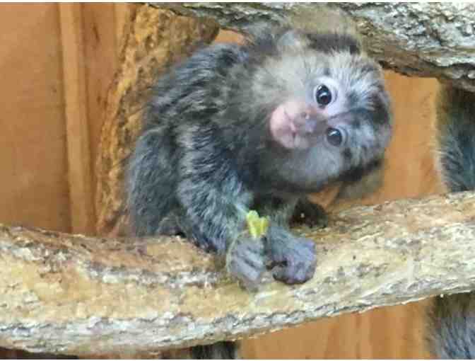 Up Close & Personal . . . With Critters Large and Small!