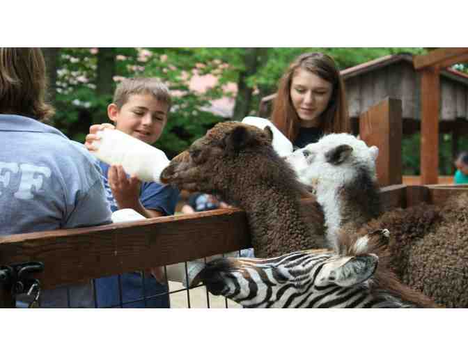 Up Close & Personal . . . With Critters Large and Small!