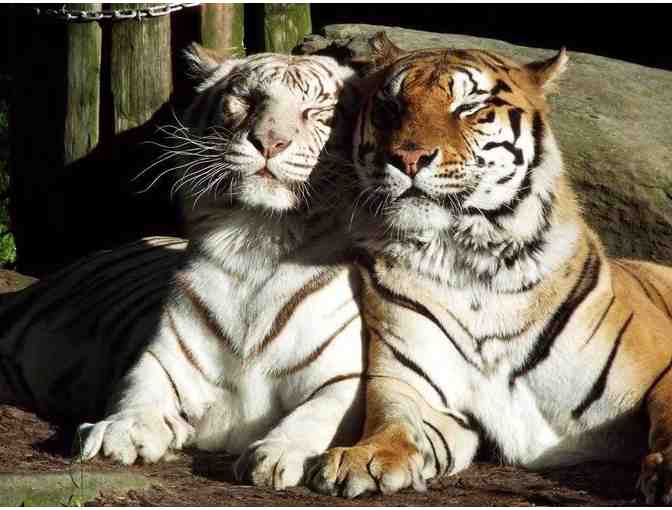 Up Close & Personal . . . With Critters Large and Small!