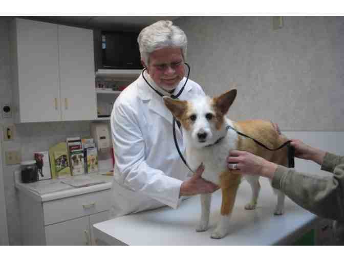 Keep Your Pet Healthy and Happy . . .