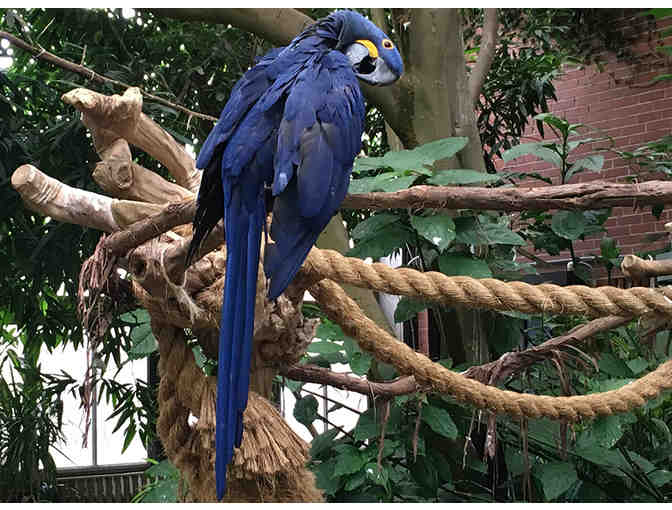 The National Aviary . . . for Four!