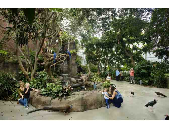 The National Aviary . . . for Four!