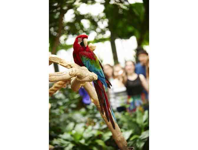 The National Aviary . . . for Four!