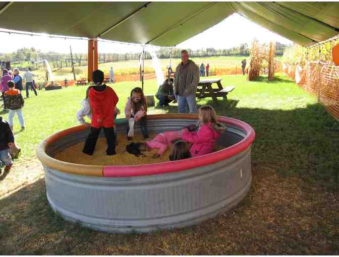 A Day of Endless Farm Fun . . . at Pumpkin Patch Playland!