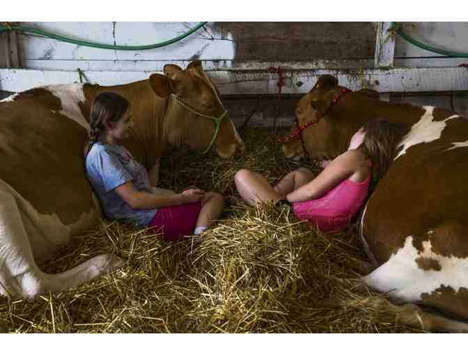 Family Fun . . . at the Westmoreland Fair