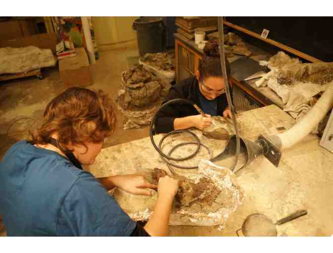 Discover Science Like Never Before . . .