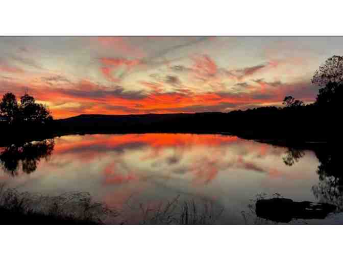 Glamp on Greers Ferry Lake in the Ozarks - Photo 3