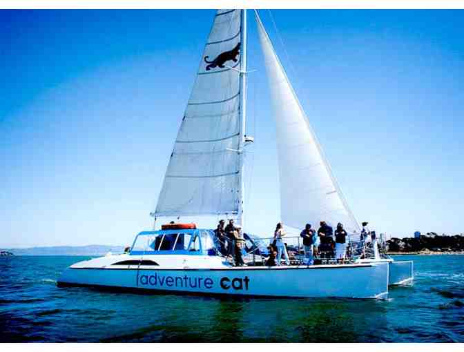 Sail the Bay for Two