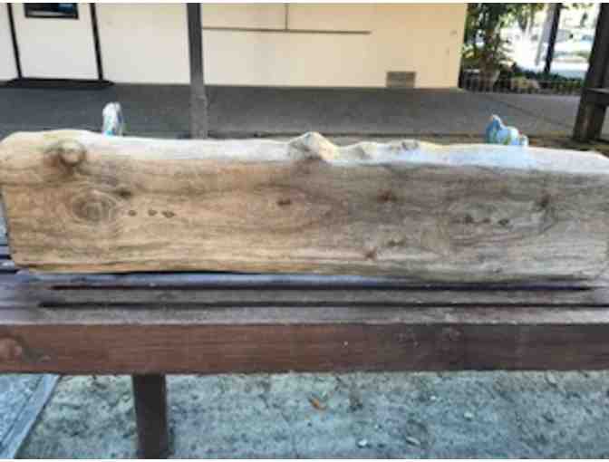 ETCC - California Bay Laurel Hand Crafted, Children Decorated Bench