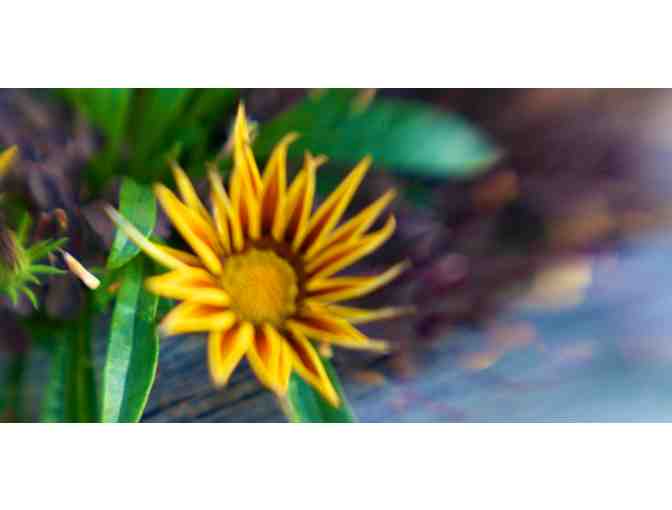 Seaglass Fine Art Photography 12' Art Print