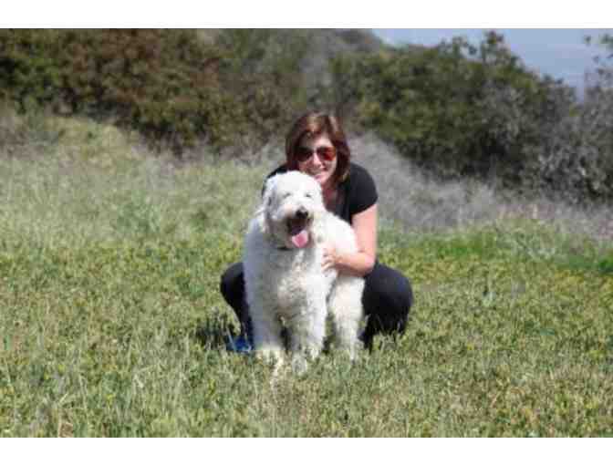 Mindfulness Meditation Basics - Private Coaching