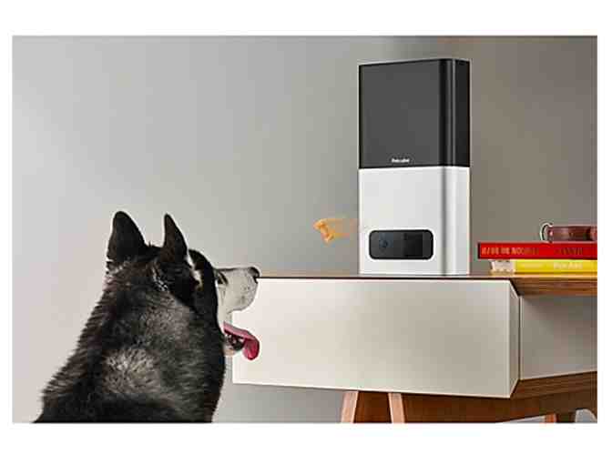 Petcube Bites - HD Treat Camera