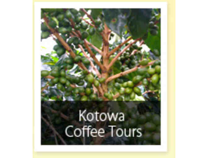 Los Establos Boutique Inn Panama - All Inclusive Resort