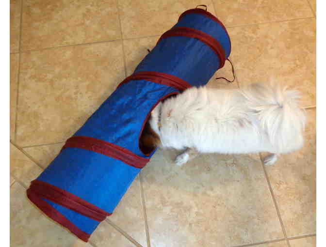 Pet Crinkle Tunnel -- Size Small -- Like New