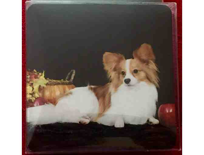 Set of 4 Papillon Fall Theme Coasters -- New