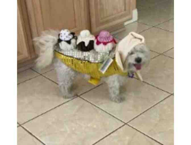 Banana Split Pet Costume -- Size Large -- New