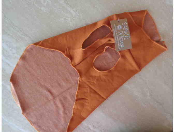 Terra Cotta Sante Fe Pullover from Gold Paw -- Size 16 -- New