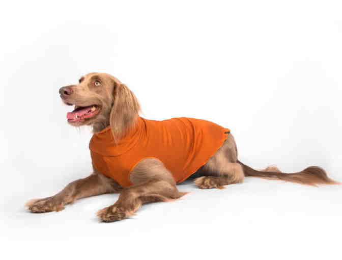 Terra Cotta Sante Fe Pullover from Gold Paw -- Size 16 -- New