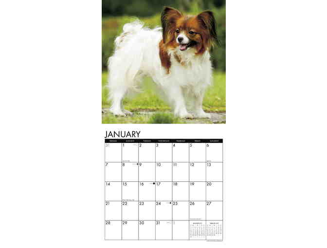 Just Papillons 2018 Wall Calendar -- New