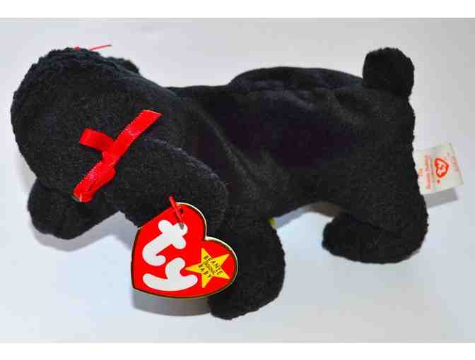 TY Beanie Baby 'GiGi' the Dog -- Pre-Owned