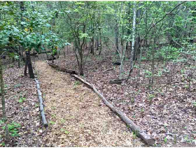 Blue Ridge, Georgia Cabin Getaway