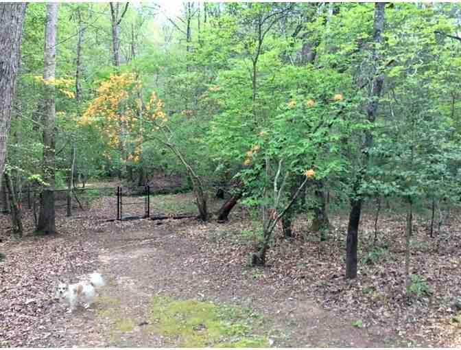 Blue Ridge, Georgia Cabin Getaway