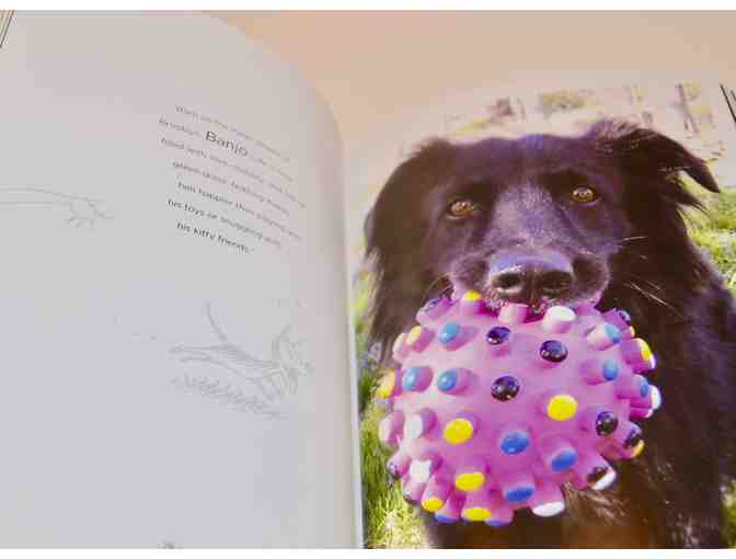 MUTTS Shelter Stories - New