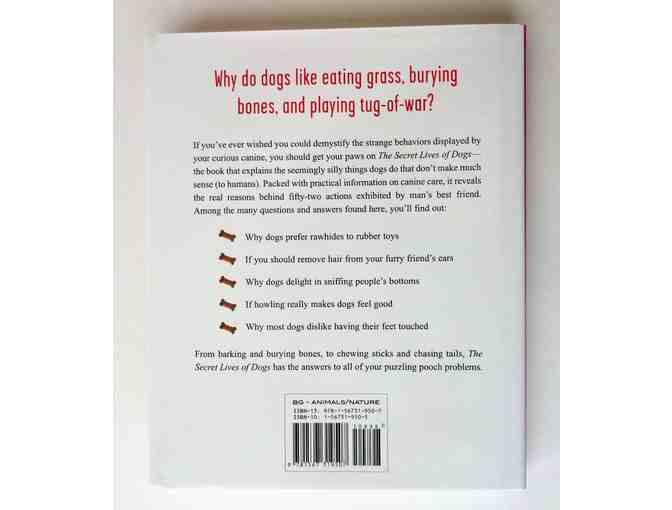 'The Secret Lives of Dogs' by Jana Murphy