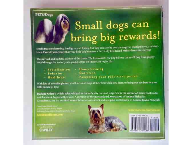 'Small Dogs, Big Hearts' by Darlene Arden