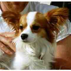 Diane and John Marceau