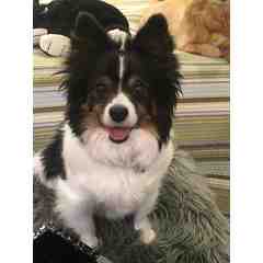 Janet Leavell & Indy