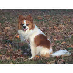 Melissa & Robyn Fiala