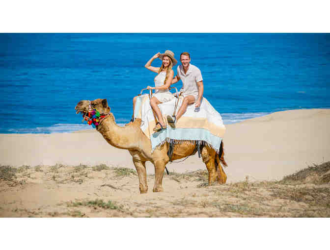 Cactus Tours Camel + Sky Bike combo for 2 - Photo 1