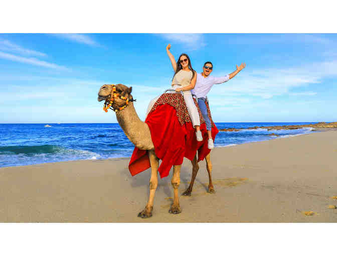 Camel ride + Sky Bike combo for two (cert.2) - Photo 1