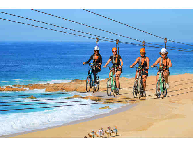 Camel ride + Sky Bike combo for two (cert.2) - Photo 2
