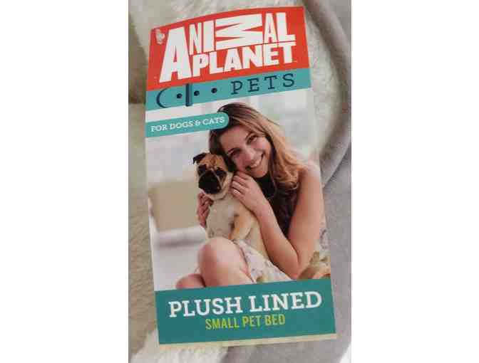 Pet Bed by Animal Planet-cat or dog