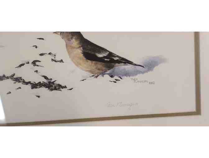 Watercolor Bird Painting - Limited Print by Thea Flanagan