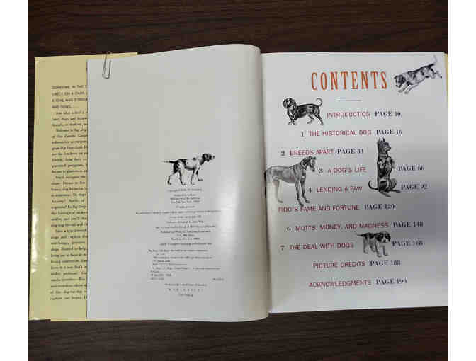 Book - 'Big Dogs LIttle Dogs'