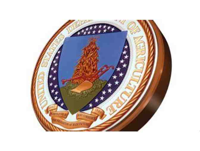 Maine State Park Day Passes - Set of 5