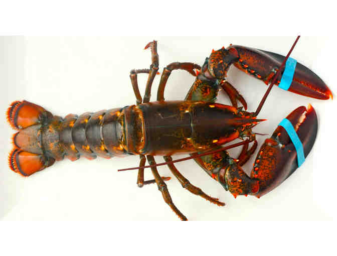 Graffam Bros. Seafood Market $100 Gift Certificate #2