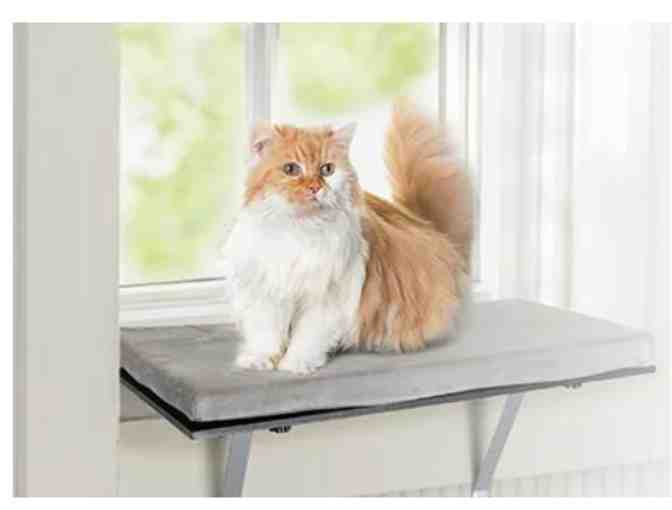 Cat Window Perch by Coziwow