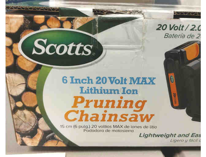 Chainsaw - Pruning