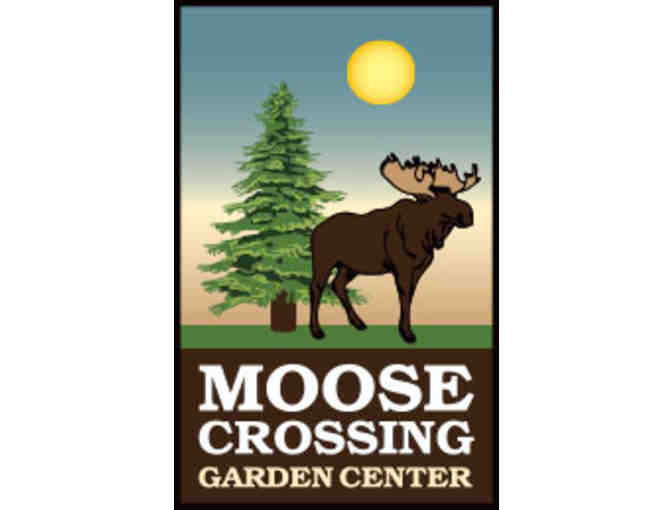 Moose Crossing Garden Center $100 Gift Card - Photo 1