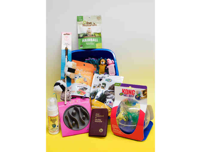 Cat Toys and Treat Basket! All the Fun for Your Purrfect Bestie!