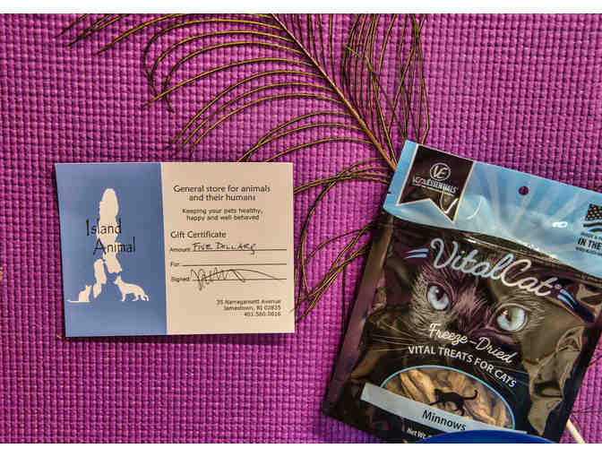 Treats and Toys for Your Lil' Sweet! PLUS Island Animal Gift Certificate