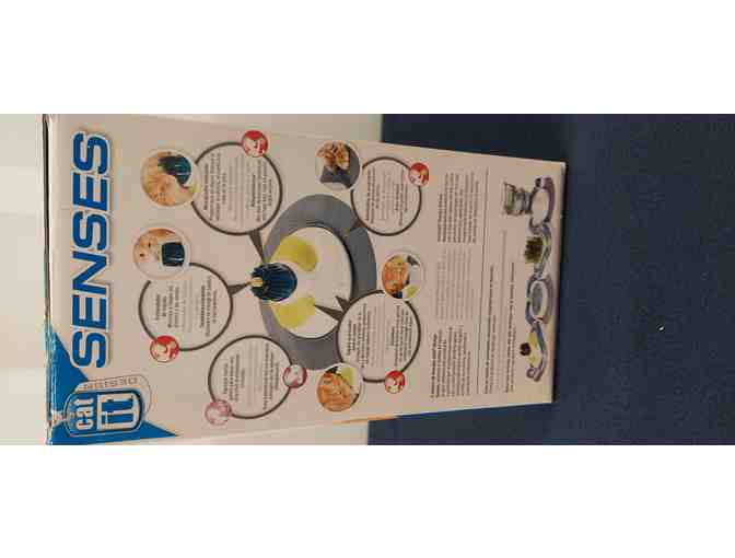 Cozy Times for Your Kitty with Gift Card