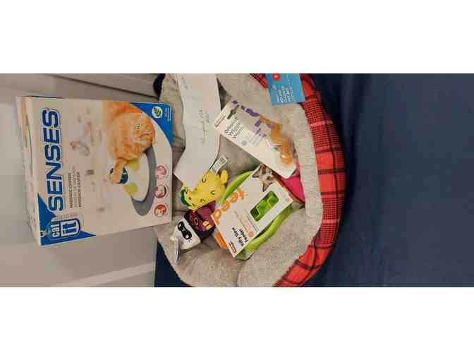 Cozy Times for Your Kitty with Gift Card